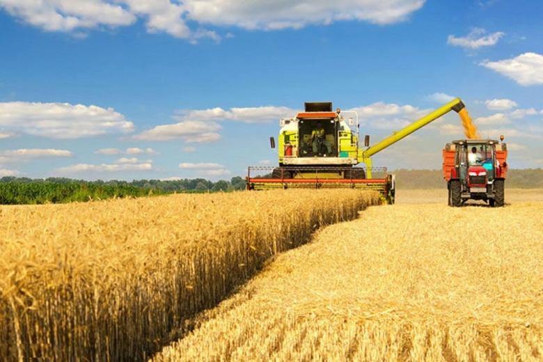 Темпы уборки зерна в России вдвое превышают прошлогодние – Патрушев